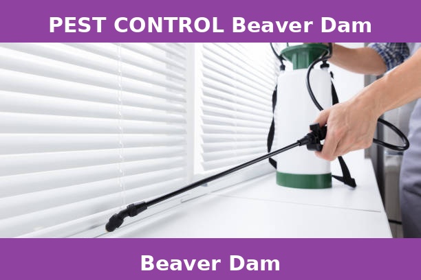 PEST CONTROL Beaver Dam